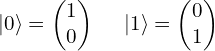 \[\begin{split}|0\rangle = \begin{pmatrix}1\\ 0 \end{pmatrix}~~~~|1\rangle=\begin{pmatrix}0\\1\end{pmatrix}\end{split}\]