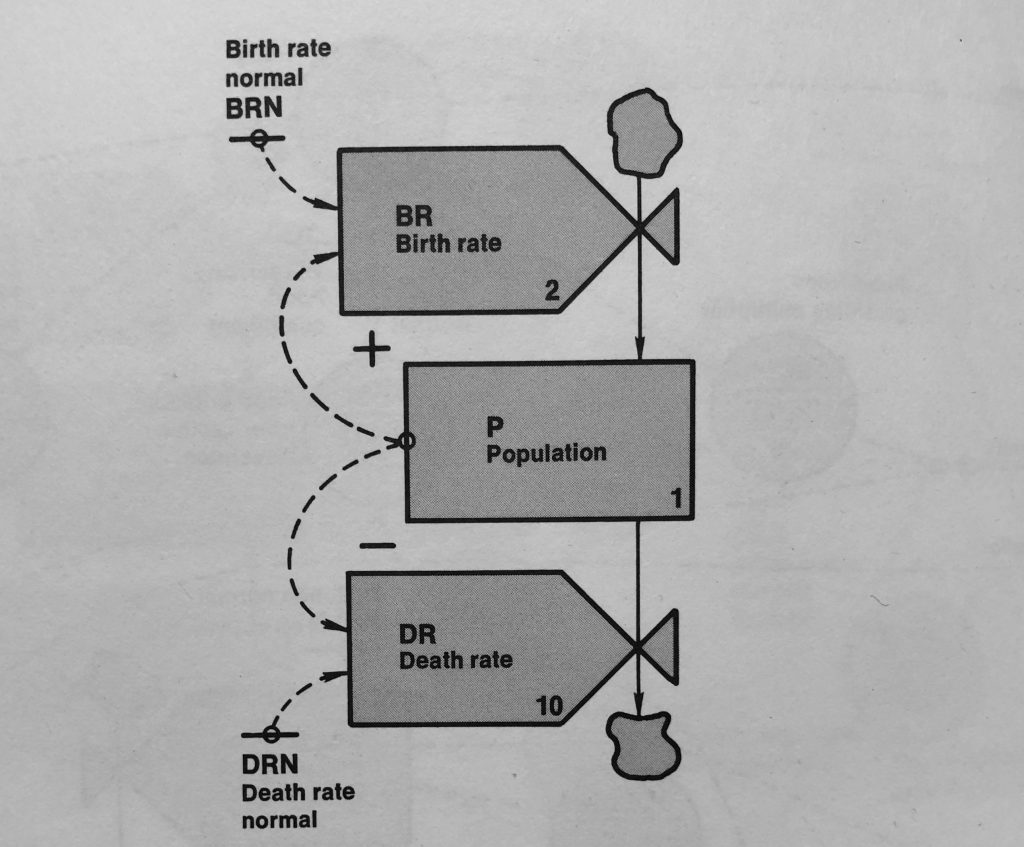 Birth and Death Rates